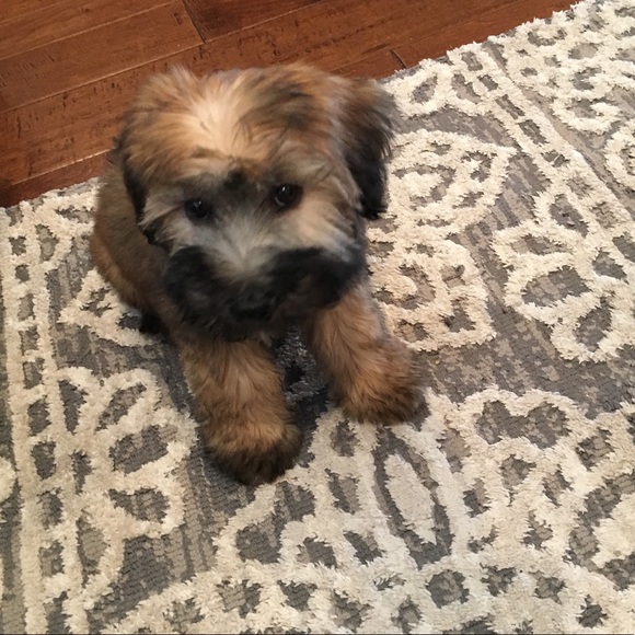 Meet your Seller! - Picture 3 of 4